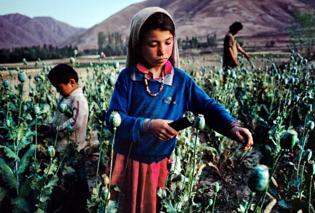 Afghan Drugs More Dangerous than Terrorism: UNODC